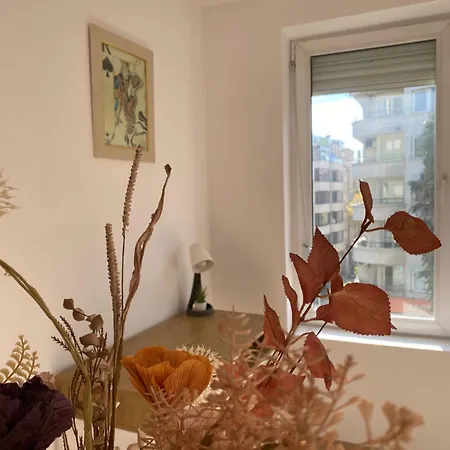 Sophie - Center, Cozy & Work-friendly Near Aubg, Free Streaming Platforms *