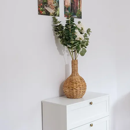 Sophie - Center, Cozy & Work-friendly Near Aubg, Free Streaming Platforms Blagoevgrad