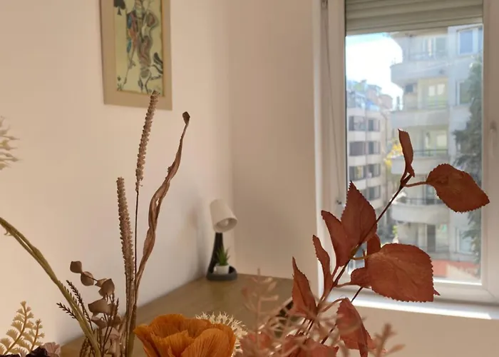 Sophie - Center, Cozy & Work-friendly Near Aubg, Free Streaming Platforms *